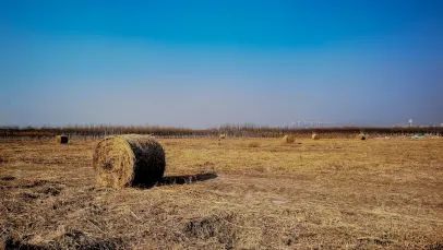 كازينو لاكي بانتس بينغو تطبيق الهاتف المحمول